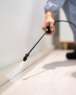 man spreading pesticides on baseboard