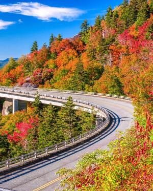 autumn parkway scene